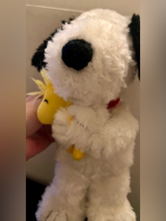 The Peanuts Other - THE PEANUTS - SNOOPY & WOODSTOCK - HALLMARK “HAPPINESS IS A HUG” PLUSH